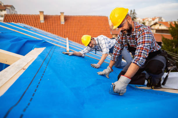 Best Roof Insulation Installation  in Chisholm, ME